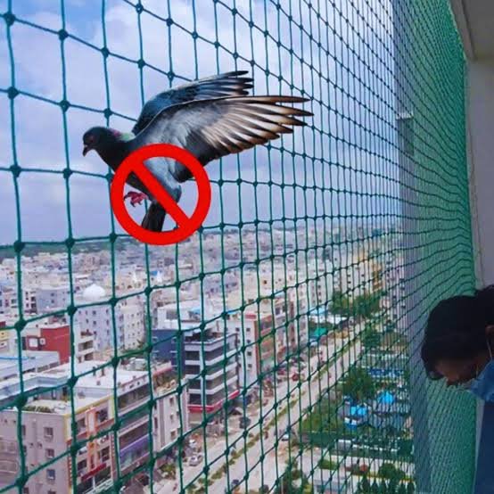 Practice Cage Nets installation in Chennai project photo — Practice Cage Nets installation in Chennai